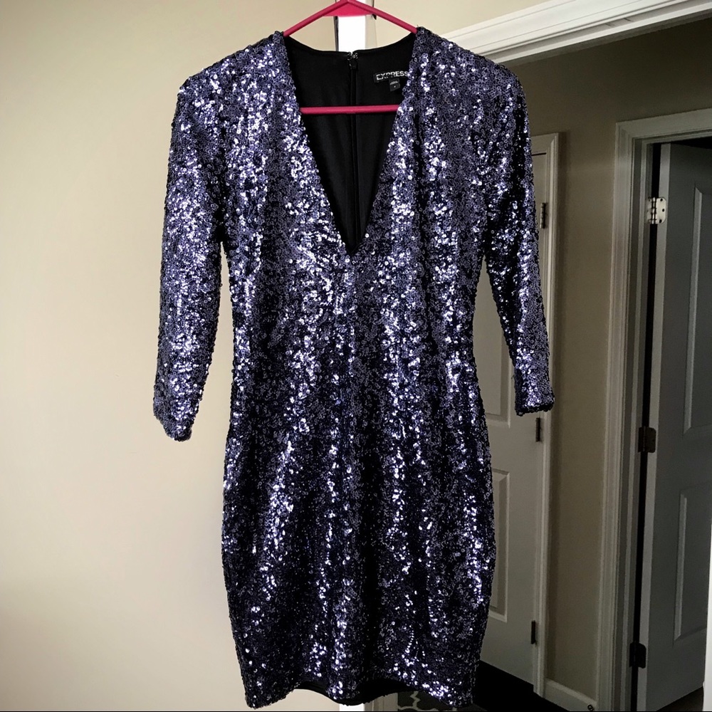 Express Holiday Sequin Dress